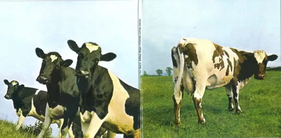 PINK FLOYD / ATOM HEART MOTHER PAPER SLEEVE (1CD)