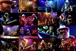 ZZ TOP / DORTMUND 1982 ROCK POP IN CONCERT PRO SHOT (1DVDR)