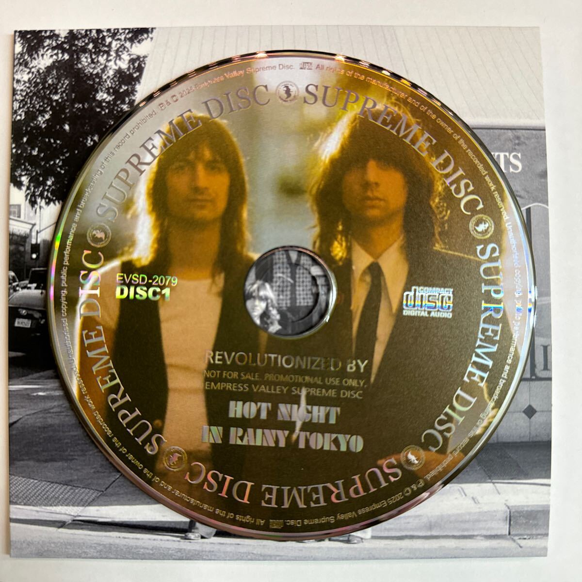 THE LEMON TWIGS / CITY LIGHTS (1CD)