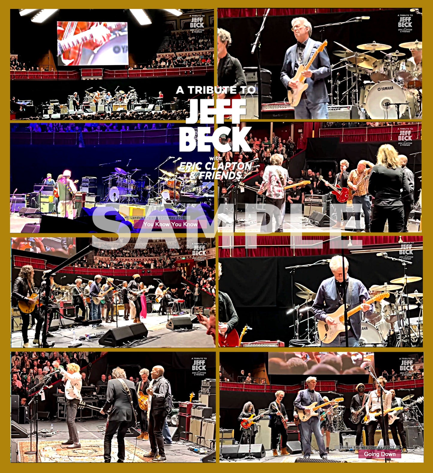Jeff Beck / Tribute Concert 2023 Royal Albert Hall (1BDR) London England 22th May 2023