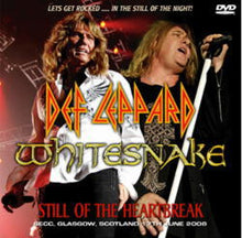 Load image into Gallery viewer, WHITESNAKE / DEF LEPPARD / BEST HOURS (4CDR+1DVDR)
