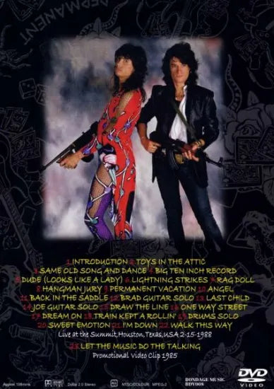 AEROSMITH / LIGHTNING STRIKES (1DVD)