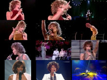 Load image into Gallery viewer, WHITNEY HOUSTON / A Royal Wedding Celebration (1DVDR)
