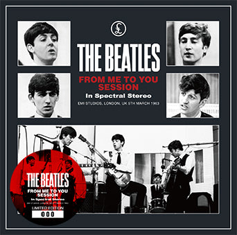 THE BEATLES / FROM ME TO YOU SESSION IN SPECTRAL STEREO (1CD)