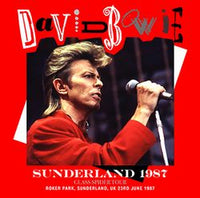 The Hunger サウンドトラック レコード　DavidBowie THE HUNGER SOUNDTRACK LP MICHEL RUBIN DENNY JAEGER VARESE