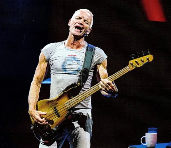 STING / AMSTERDAM & NEW JERSEY 2023(2CDR+1BDR)