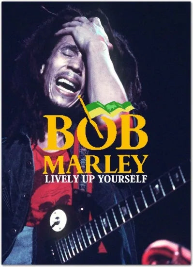 BOB MARLEY / Lively Up Yourself (2DVDR)