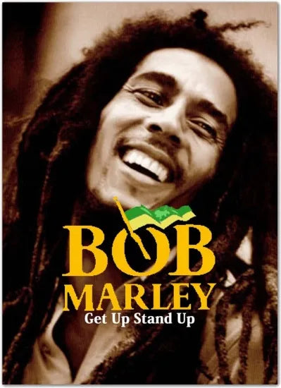 BOB MARLEY / Get Up Stand Up (2DVDR)