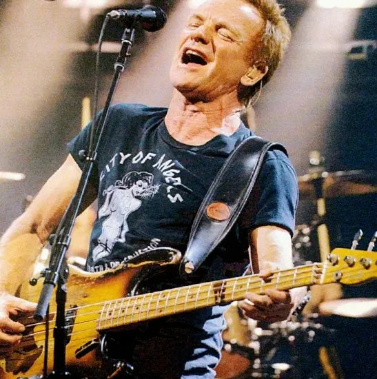 STING / LIVE IN TOKYO 2017 LAST NIGHT (2CDR)