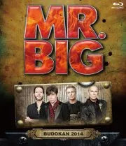 Load image into Gallery viewer, MR.BIG / BUDOKAN 2014  (1BDR)
