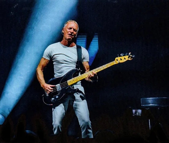 STING / 3.0 TOUR IN GERMANY 2024 2 NIGHTS (4CDR)