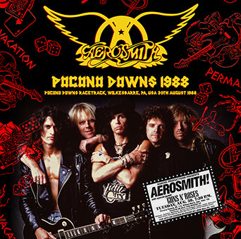 AEROSMITH / POCONO DOWNS 1988 (2CDR)