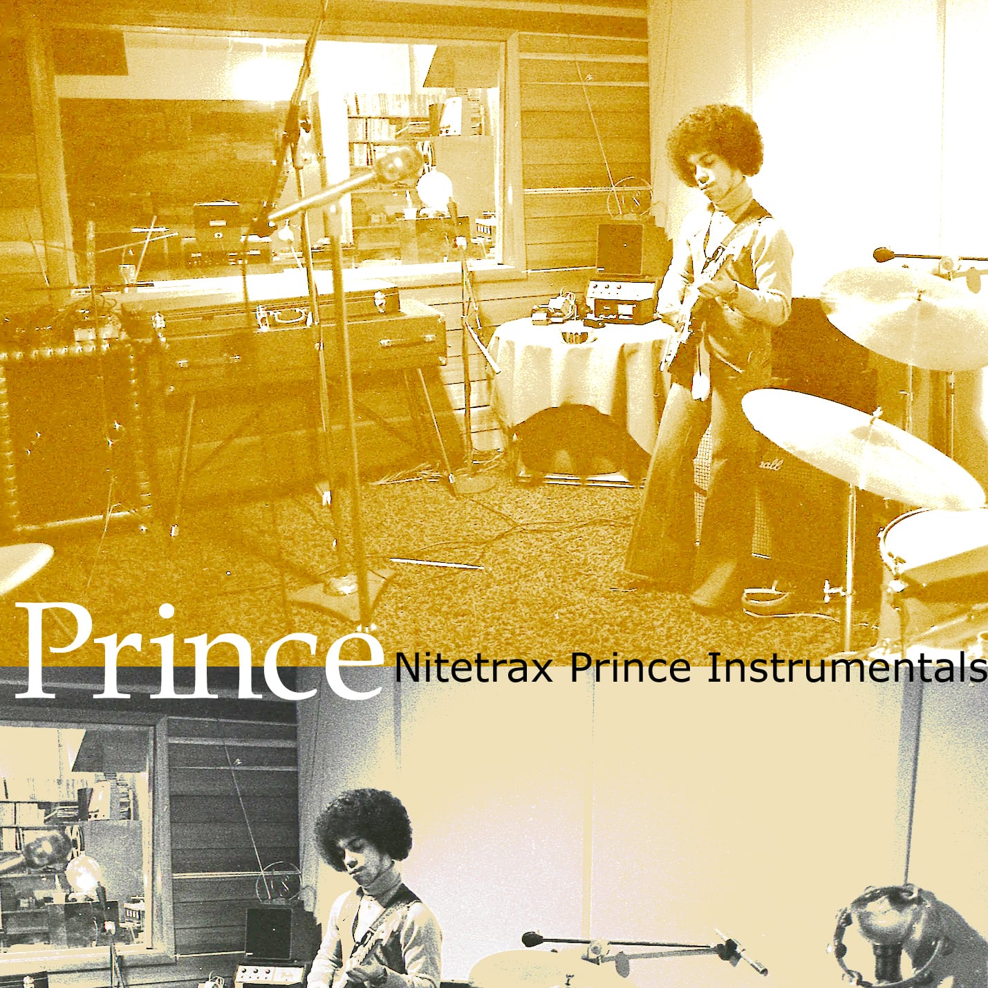 Prince / Nitetrax Prince Instrumentals (1CDR)