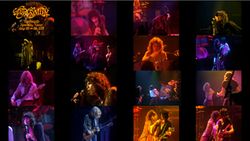 AEROSMITH / HOUSTON 1977 UPGRADE (1DVDR)