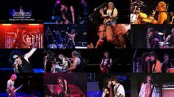 AEROSMITH / DETROIT 2003 PRO SHOT (1DVDR)