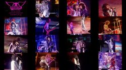 AEROSMITH / LANDOVER 1989 PRO SHOT (1DVDR)