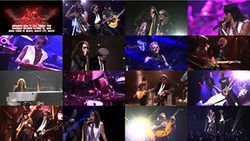 AEROSMITH / MEXICO CITY 2016 PRO SHOT (1DVDR)