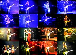 ERIC CLAPTON / FRANKFURT 1990 THE VIDEO (1DVDR)