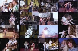 VAN HALEN / MONSTERS OF ROCK DONINGTON 1984 (1DVD)