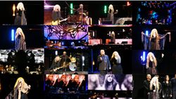 STEVIE NICKS / ATLANTIC CITY 2024 (1DVDR)