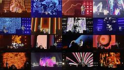 RED HOT CHILI PEPPERS / TOKYO DOME 2024 1ST NIGHT THE VIDEO (1DVDR)