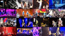 THE ROLLING STONES / ORLANDO 2024 MULTICAM (1DVDR)