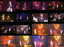 OZZY OSBOURNE / PALLADIUM 1981 THE VIDEO (1DVDR)