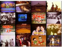 Load image into Gallery viewer, THE BEATLES / JAPANESE TV SPECIAL 1980 FROM THE BEGINNING TO TODAY PRO SHOT (1DVDR)
