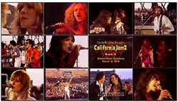 V.A.(BOB WELCH, AEROSMITH, HEART, ETC) / CALIFORNIA JAM 2 JAPANESE BROADCAST VERSION PRO SHOT (1DVDR)