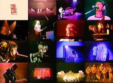 Load image into Gallery viewer, PINK FLOYD / THE WALL LIVE 1980 Curation PRO SHOT (1DVDR+PROGRAM REPLICA)
