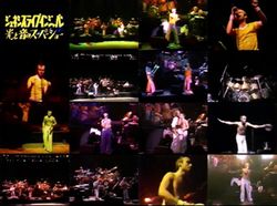 GENESIS / TOKYO 1978 TV BROADCAST UPGRADE PRO SHOT (1DVDR)