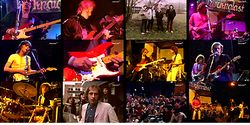 DIRE STRAITS / ROCKPALAST 1979 PRO SHOT (1DVDR)