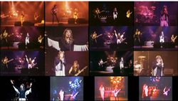 OZZY OSBOURNE / DEFINITIVE PALLADIUM 1981 THE VIDEO (1DVDR)