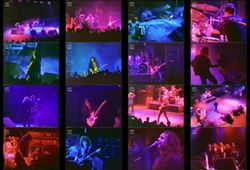 YNGWIE J. MALMSTEEN'S RISING FORCE / SOFIA 2001 PRO SHOT (1DVDR)