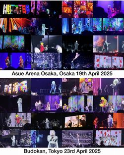 CYNDI LAUPER / FAREWELL TOUR IN JAPAN 2025 ( 2DVDR)