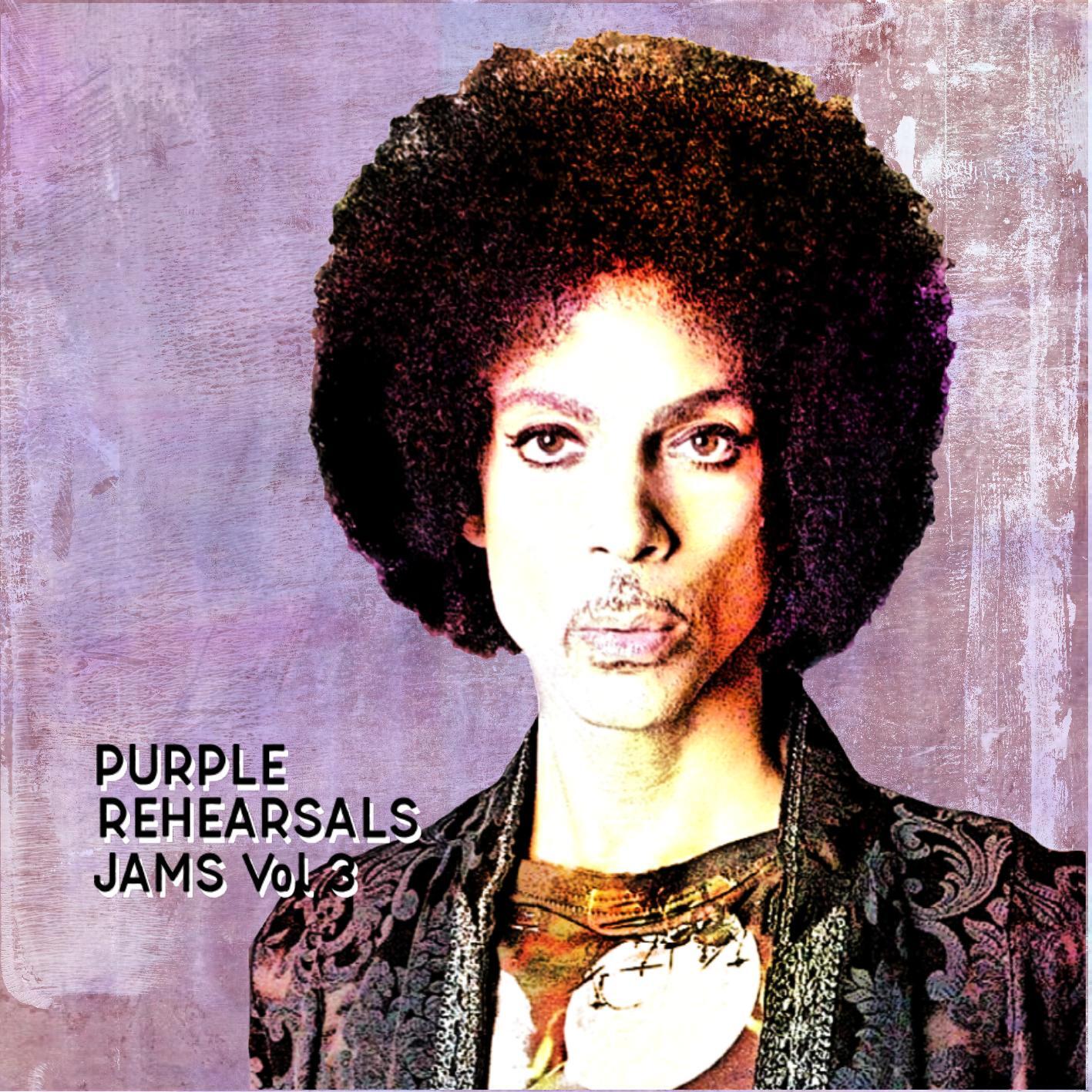 Prince　プリンス　激レアLiveDVD２作セット　1993＆1998 Prince プリンス 激レアLiveDVD2作セット 1993＆1998 （PRINCE