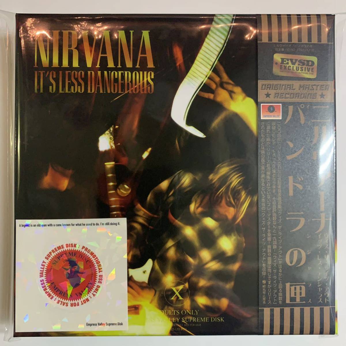 NIRVANA / IT'S LESS DANGEROUS (10CD BOX SET) – Music Lover Japan