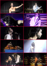 Load image into Gallery viewer, Prince / Nude Japan Tour 1990 &amp; In Hollywood 2012 Pro Shot (1DVDR+1CDR)
