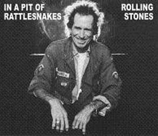 THE ROLLING STONES  / IN A PIT OF RATTLESNAKES VGP-352 (4CD)