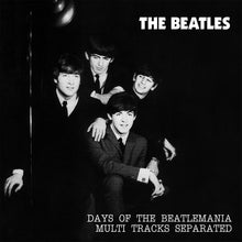 Load image into Gallery viewer, THE BEATLES / DAYS OF THE BEATLEMANIA MULTI TRACKS SEPARATED 【2CD】
