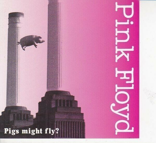 Pink Floyd Pigs Might Fly? 1977 Madison Square Garden CD 2 Discs 12 Tracks Music