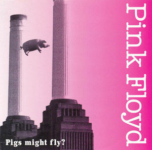 Pink Floyd Pigs Might Fly? 1977 Madison Square Garden CD 2 Discs 12 Tracks Music