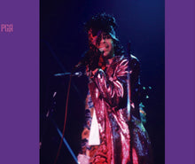 Load image into Gallery viewer, Prince Purple Rain Ultimate Collection V 2CD Studio Rehearsals Soundcheck 1984
