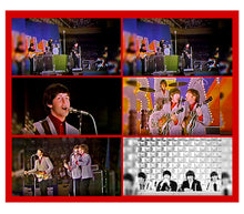 Load image into Gallery viewer, The Beatles / Japan Tour 1966 Live in Budokan Theater (1BDR)

