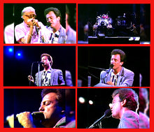 Load image into Gallery viewer, Billy Joel / Innocent Man European Tour 1984 (1BDR)
