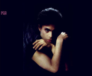 Prince The Vault Rave Unto The Joy Fantastic 2CD Unreleased Album 1988 1989 PGA